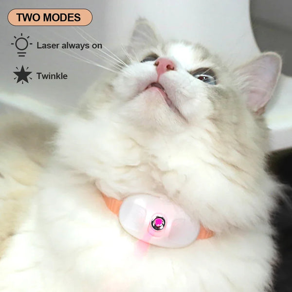 Smart Cat Laser Collar Fun