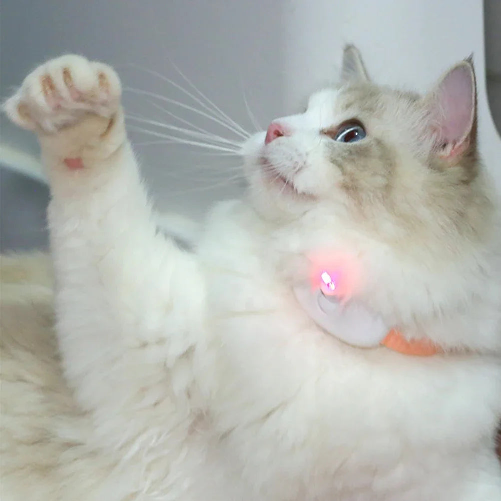 USB Rechargeable Pointer Smart Laser Tease Cat Collar Electric Kitten Automatic Toys Interactive Training Pet Accessories Goods